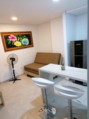 4Enseguida del centro comercial Portal del Quindío